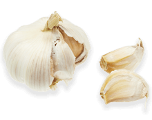 Knoblauch