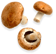 Pilze