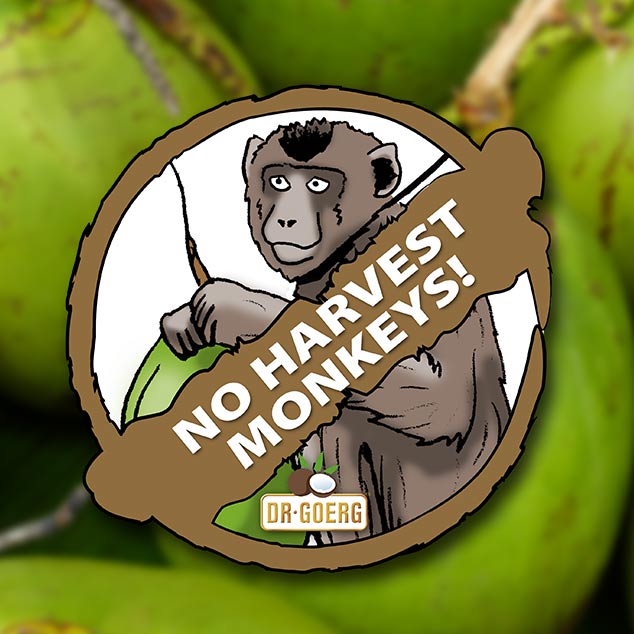 Ernte ohne Affen und keine Palmrodung!
